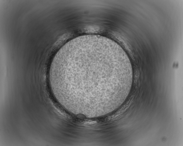 X0000097880257200804110959