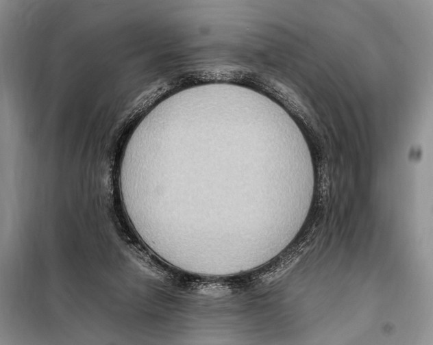 X0000097880258200804110959