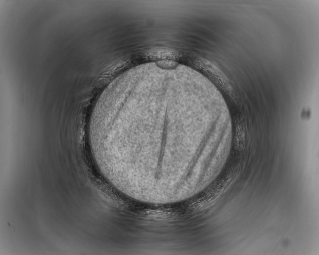 X0000097880259200804110959