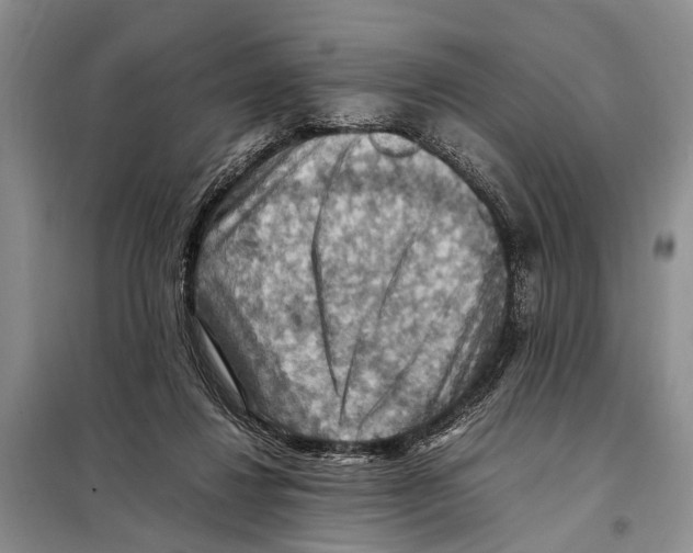 X0000097880260200804110959