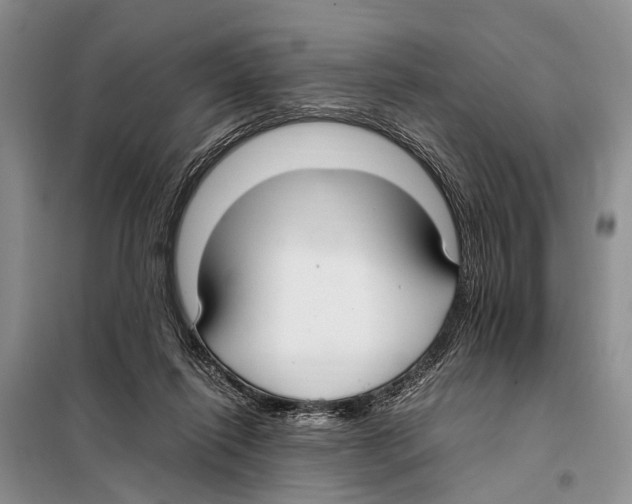 X0000097880262200804110959