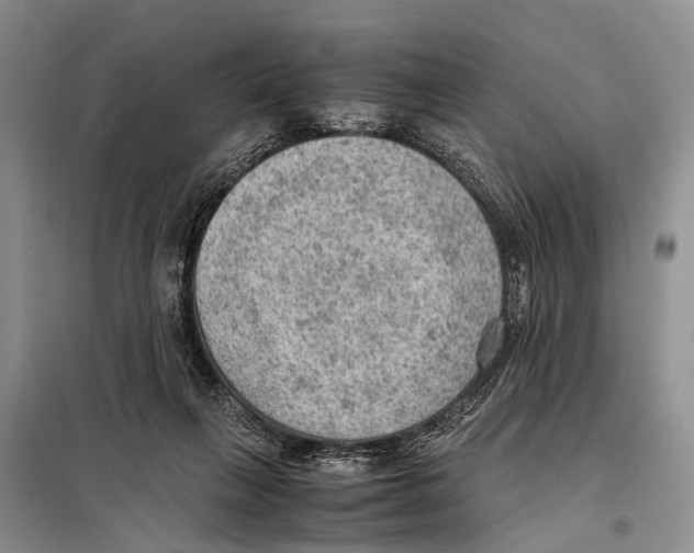 X0000097880263200804110959