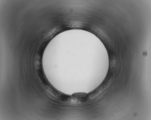 X0000097880264200804110959