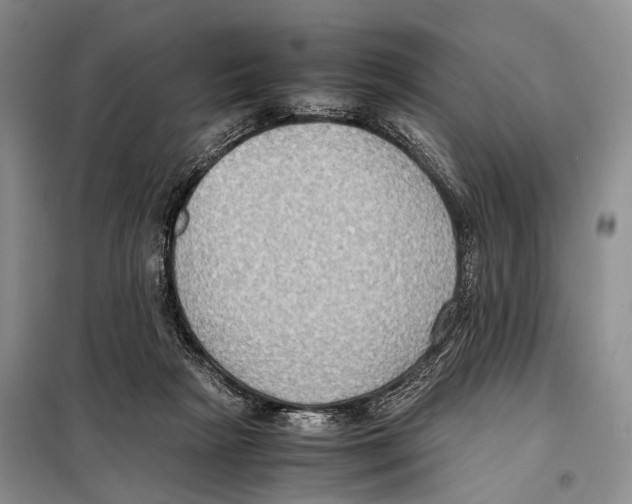 X0000097880265200804110959