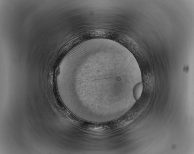 X0000097880267200804110959