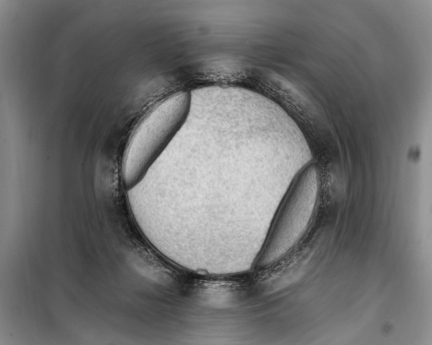 X0000097880268200804110959