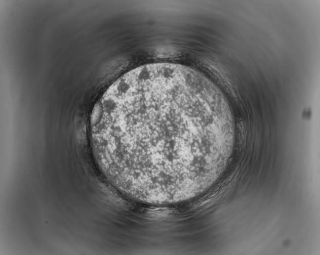 X0000097880269200804110959