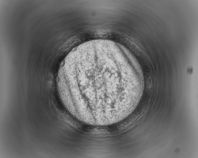 X0000097880270200804110959