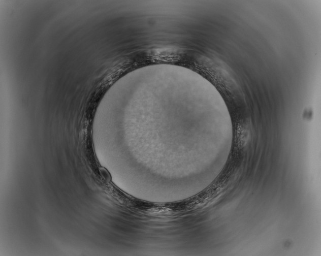 X0000097880271200804110959