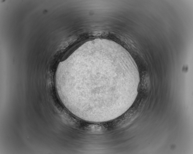 X0000097880272200804110959