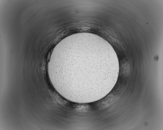 X0000097880274200804110959