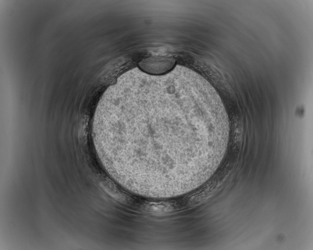 X0000097880275200804110959