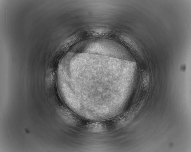 X0000097880276200804110959