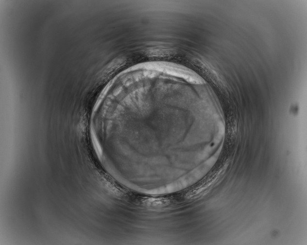 X0000097880277200804110959