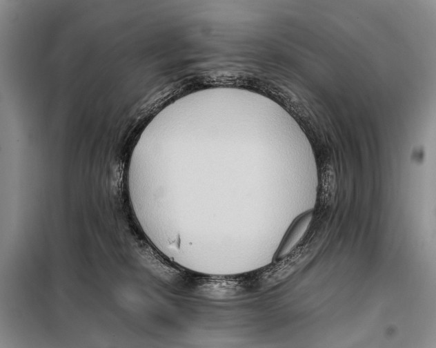 X0000097880278200804110959