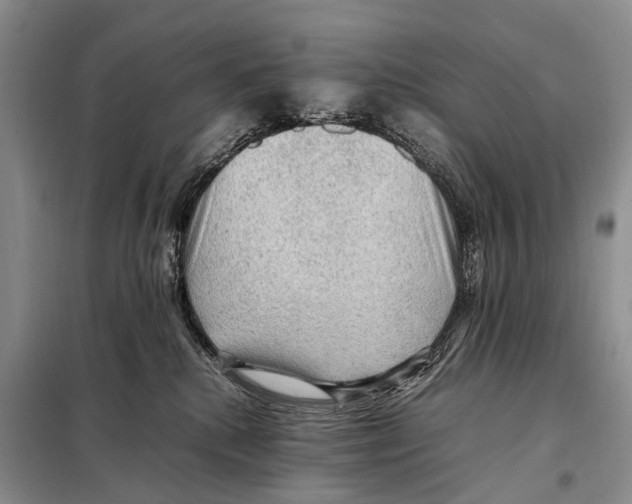 X0000097880280200804110959