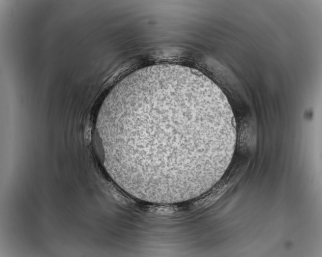 X0000097880282200804110959