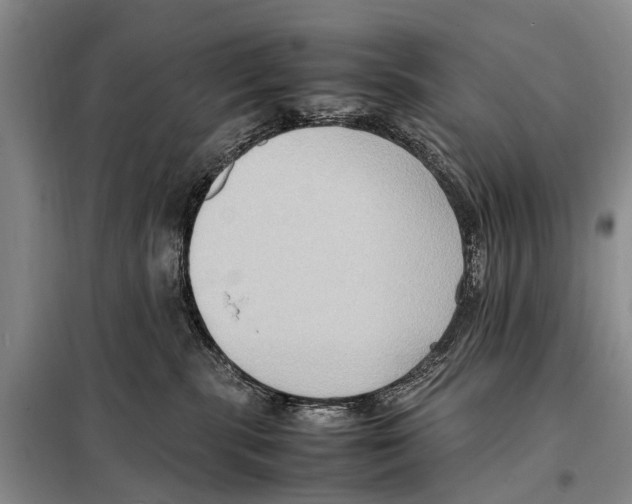 X0000097880283200804110959