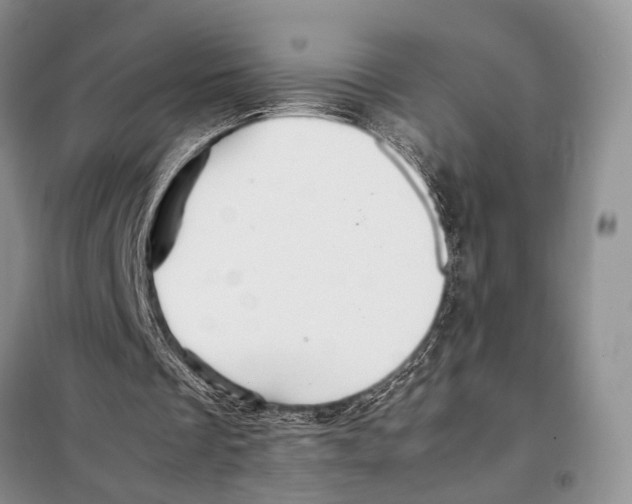 X0000097880289200804110958