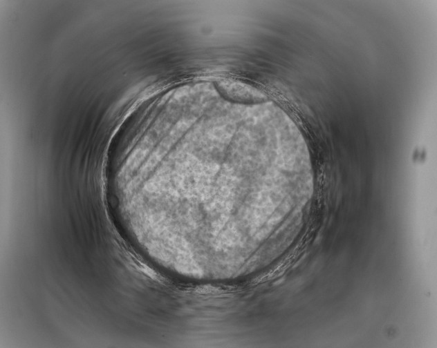 X0000097880290200804110958