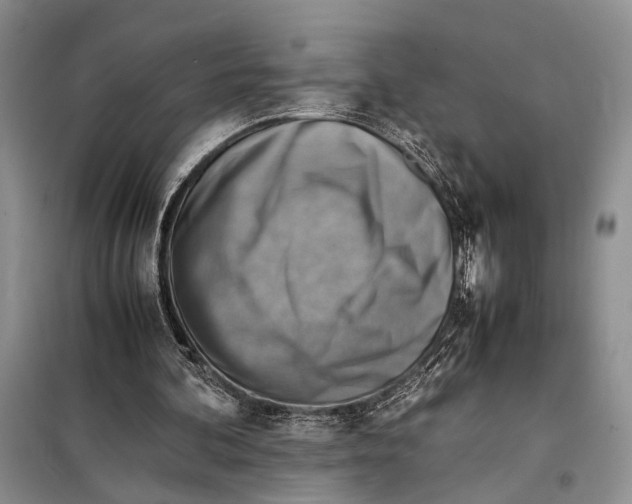 X0000097880292200804110958