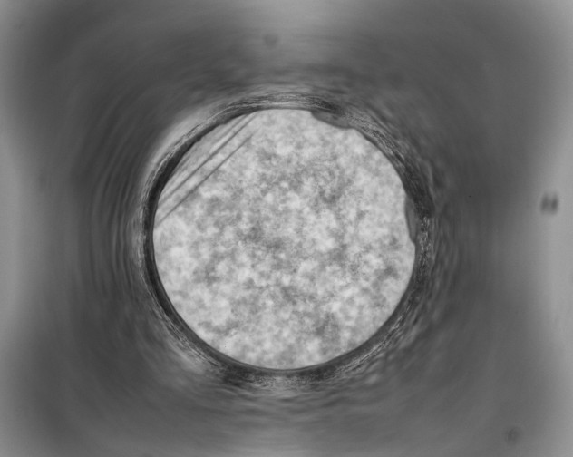 X0000097880293200804110958