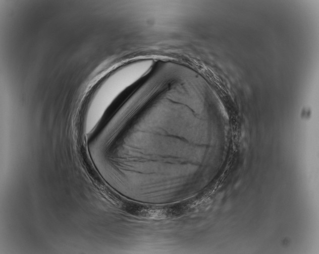 X0000097880295200804110958