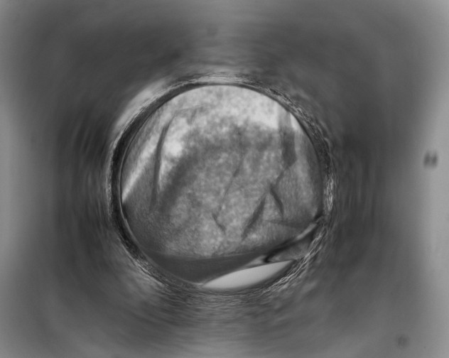 X0000097880296200804110958