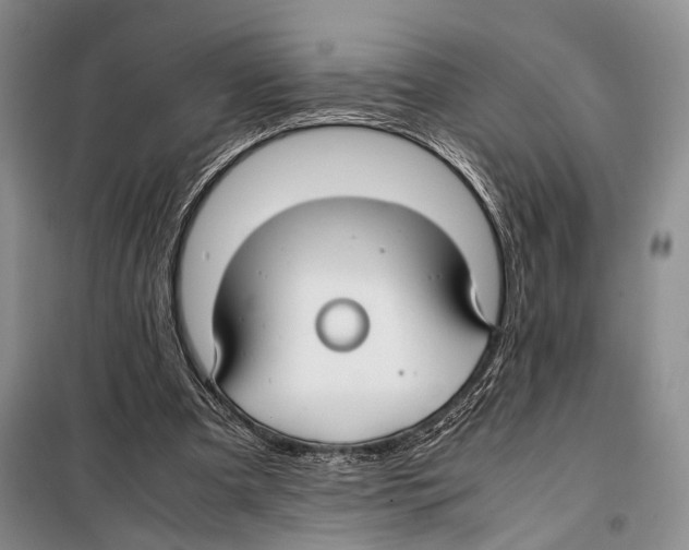 X0000097880297200804110958