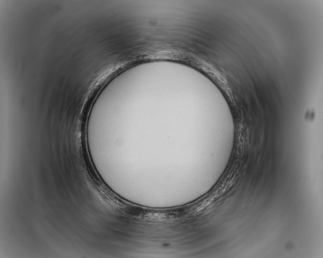 X0000097880298200804110958