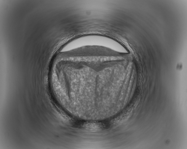 X0000097880299200804110958