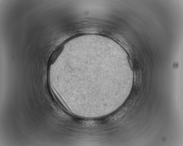 X0000097880301200804110958