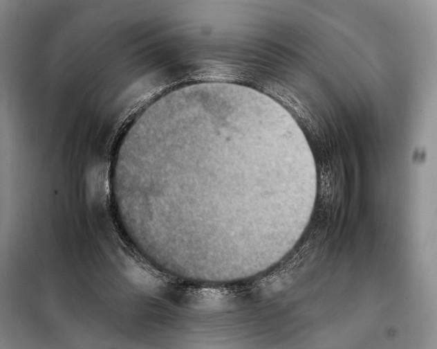 X0000097880302200804110958