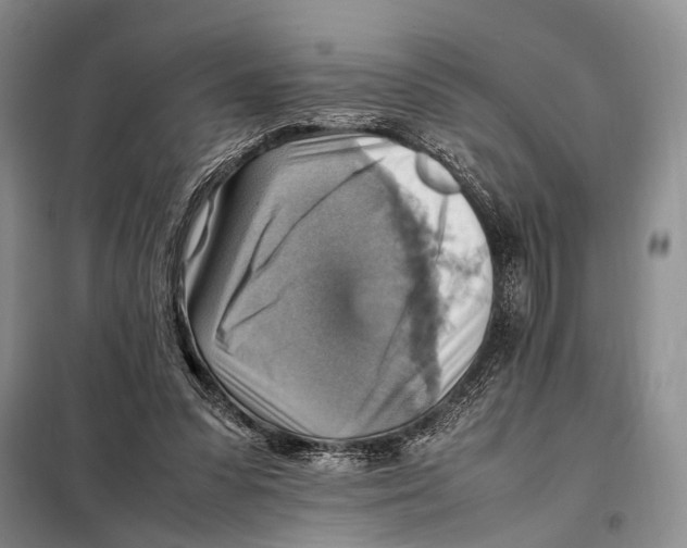 X0000097880303200804110958