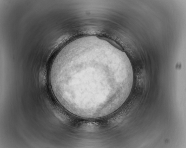 X0000097880304200804110958