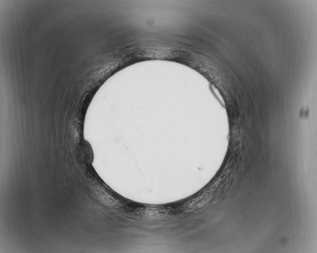 X0000097880305200804110958