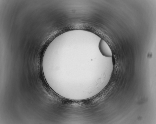 X0000097880306200804110958