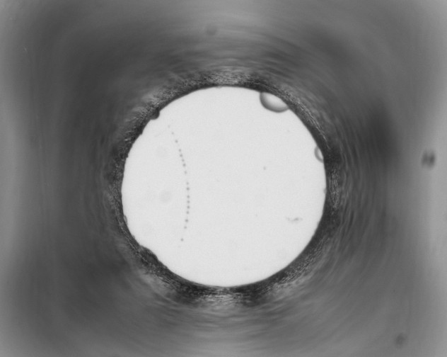 X0000097880307200804110958