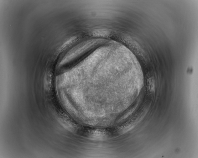 X0000097880308200804110958