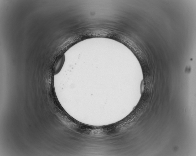 X0000097880309200804110958