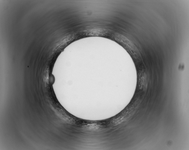 X0000097880310200804110958