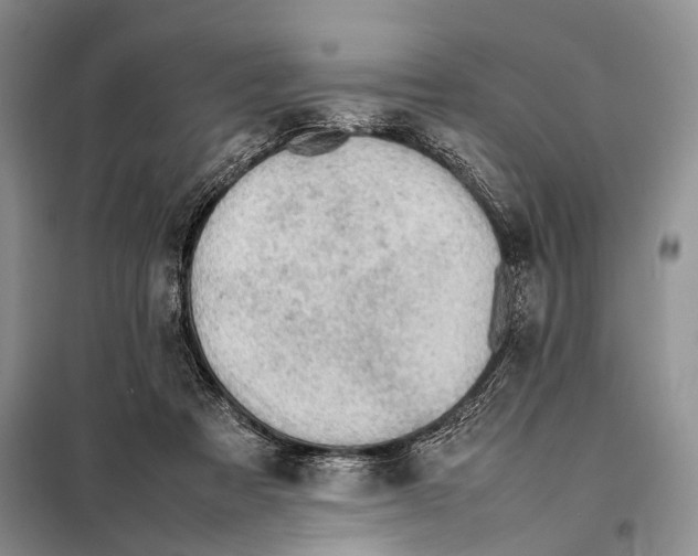 X0000097880313200804110958