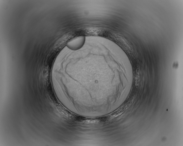 X0000097880314200804110958