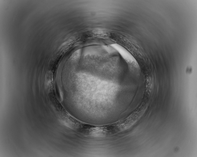 X0000097880320200804110958