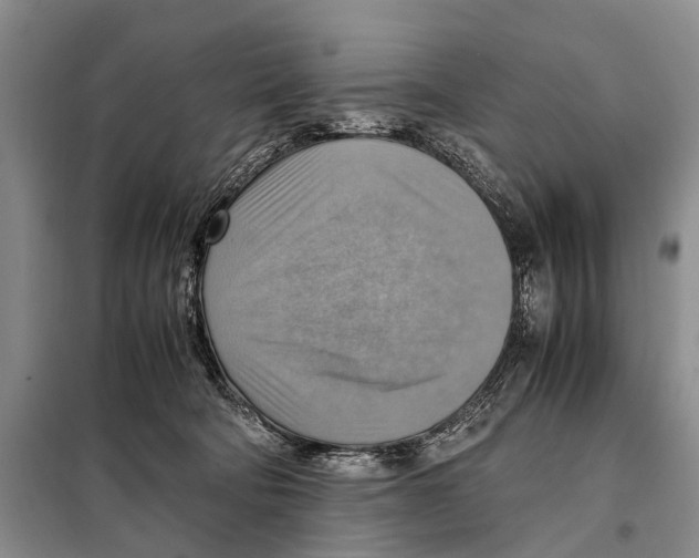 X0000097880322200804110958