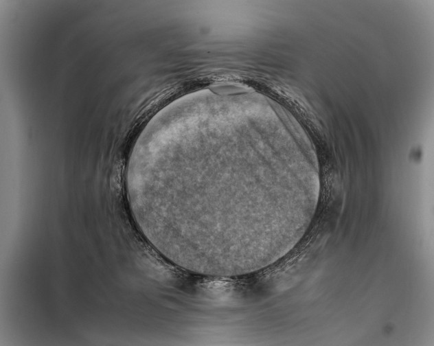 X0000097880325200804110958