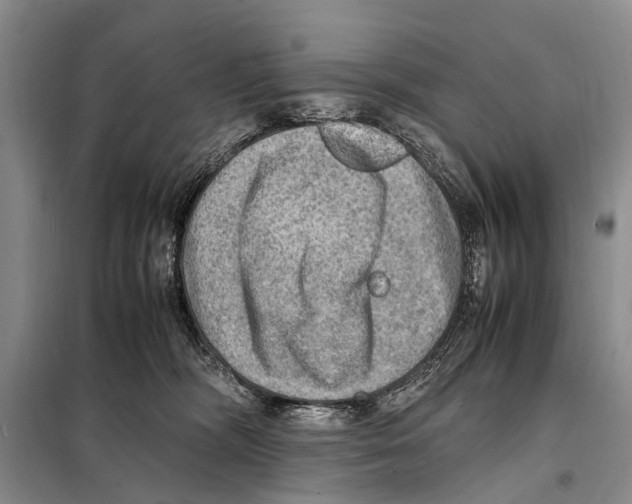 X0000097880326200804110958