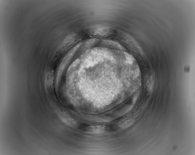 X0000097880328200804110958