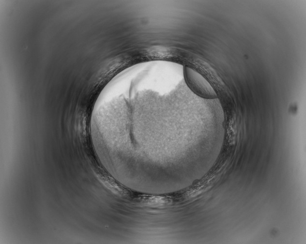 X0000097880330200804110958