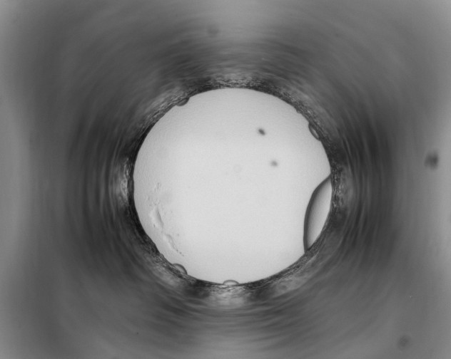 X0000097880334200804110958